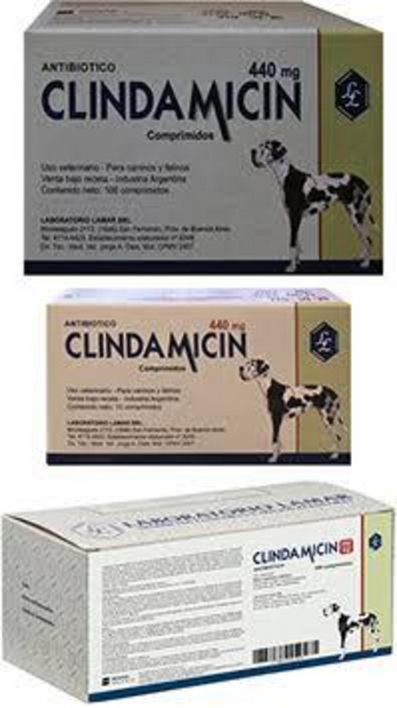 CLINDAMICIN 440 mg Lamar x 10 comprimidos